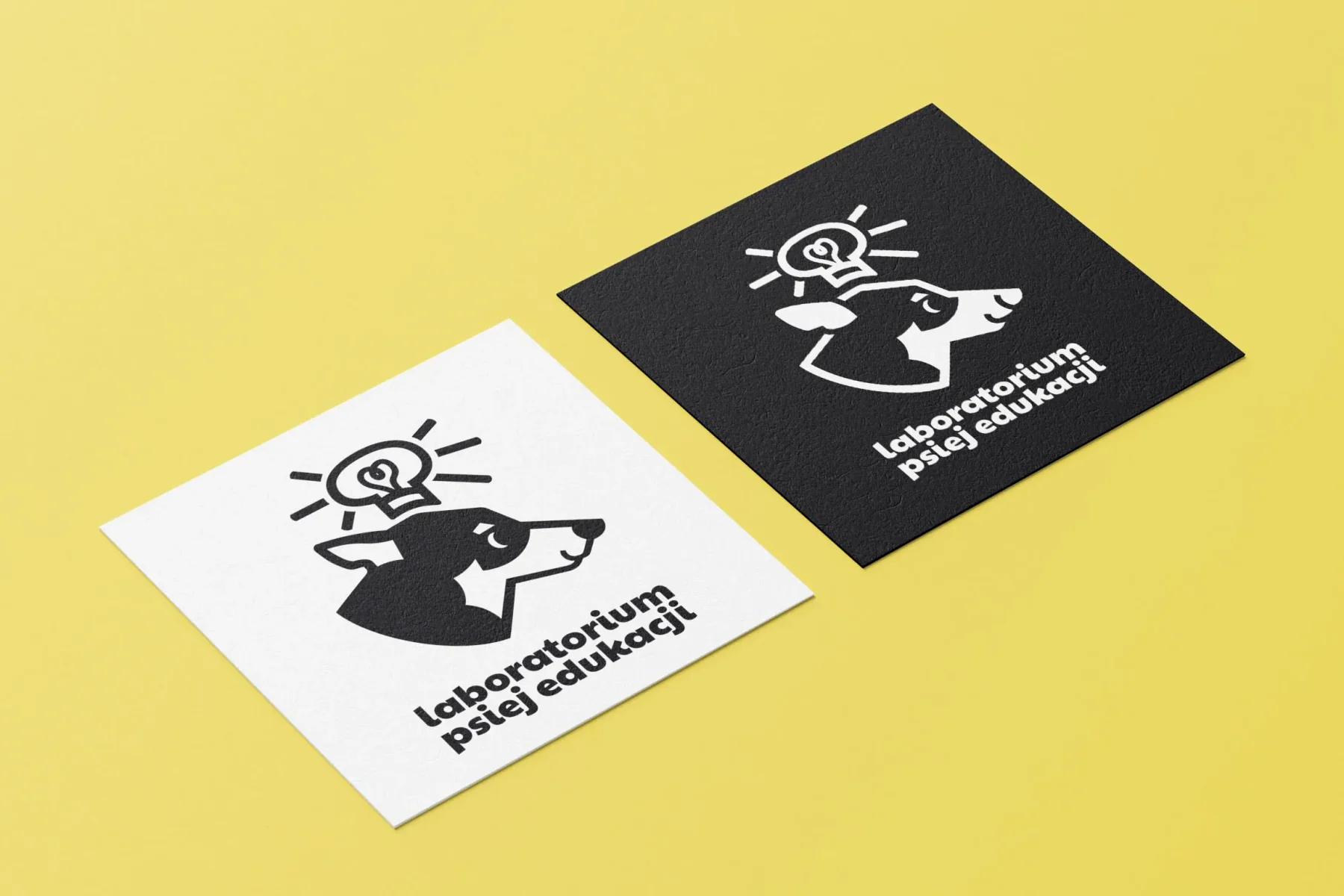 Visual identity for a service company - logo and palette