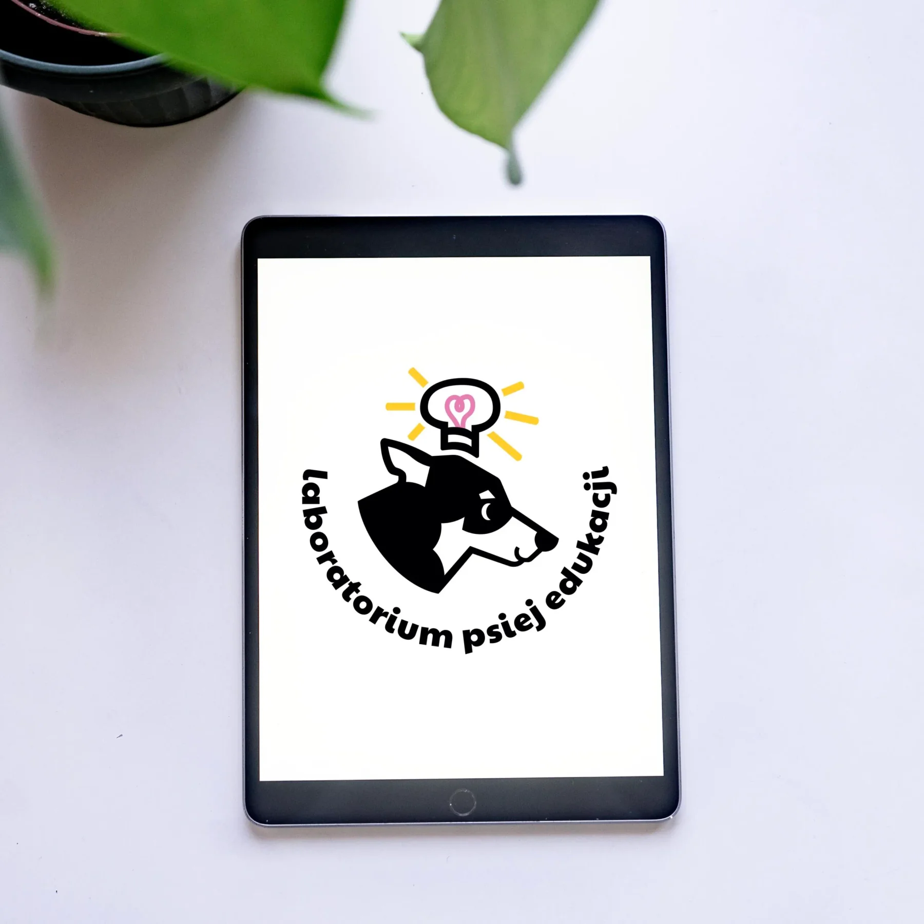Logo design for a training company - identity